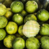 Key Lime - Image 3